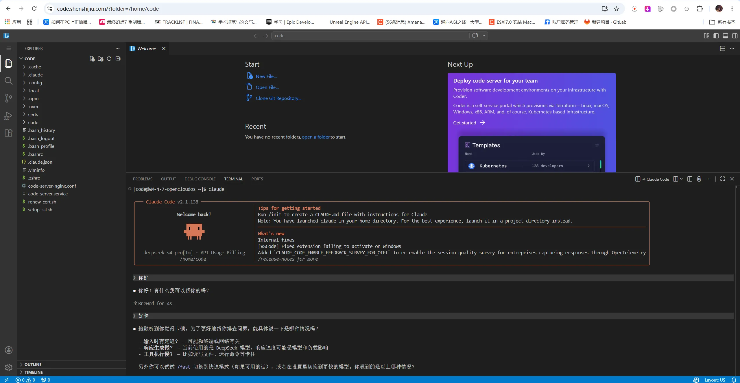 网页版VSCode界面，不得不说，服务器在新加坡，安装依赖真方便